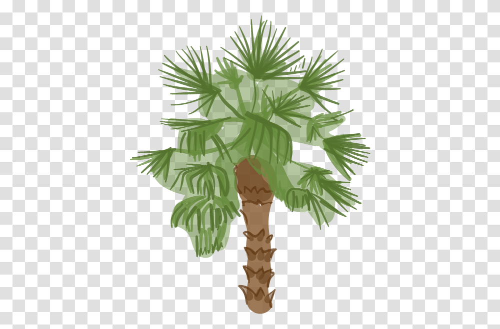Cartoon Desert Palm Trees, Plant, Potted Plant, Vase, Jar Transparent Png