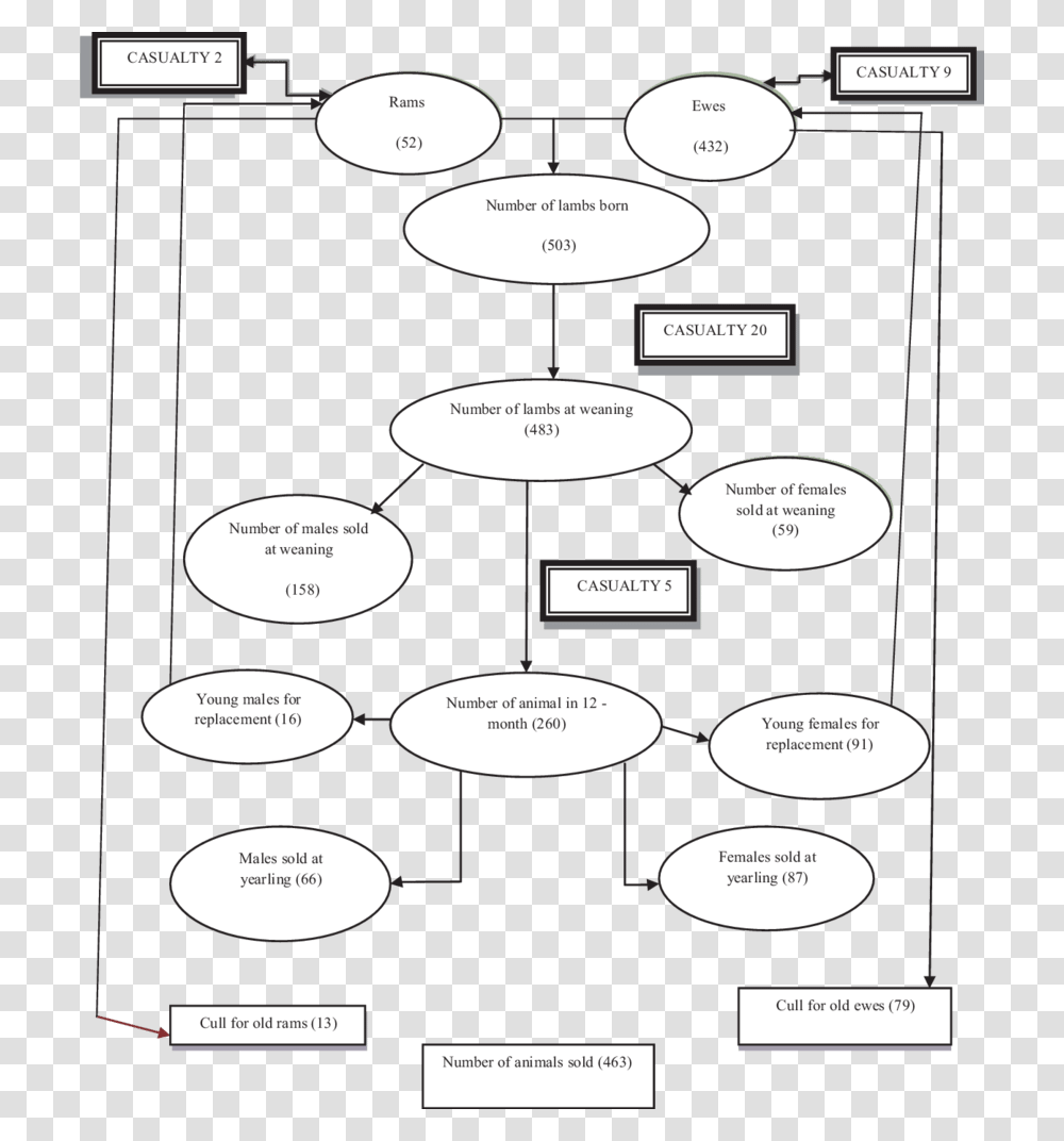 Cartoon, Diagram, Plot Transparent Png