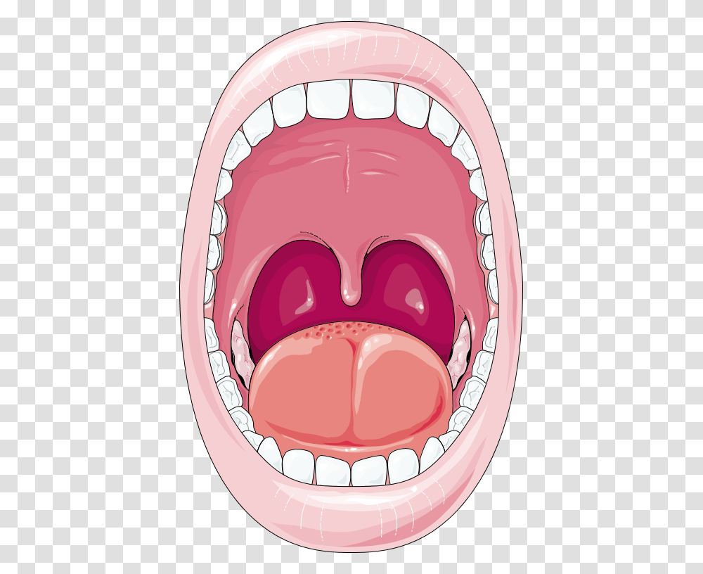 Cartoon Digestive System Mouth, Lip, Tongue, Throat Transparent Png
