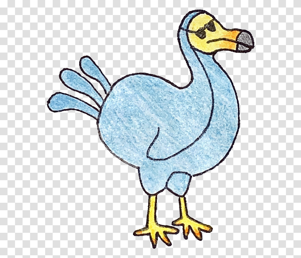 Cartoon, Dodo, Bird, Animal, Beak Transparent Png