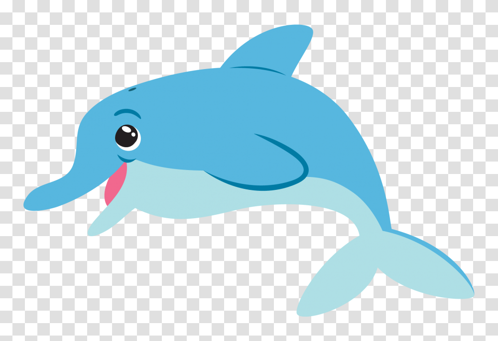 Cartoon Dolphin Background Dolphin Clipart Transparent Png
