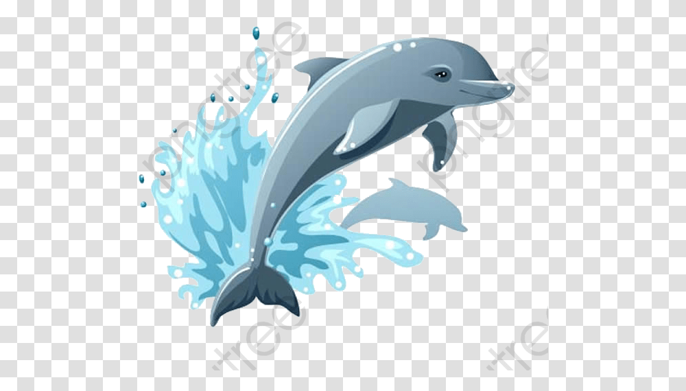 Cartoon Dolphins, Sea Life, Animal, Mammal Transparent Png