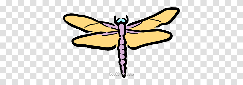 Cartoon Dragon Flies Royalty Free Vector Clip Art Illustration, Dragonfly, Insect, Invertebrate, Animal Transparent Png