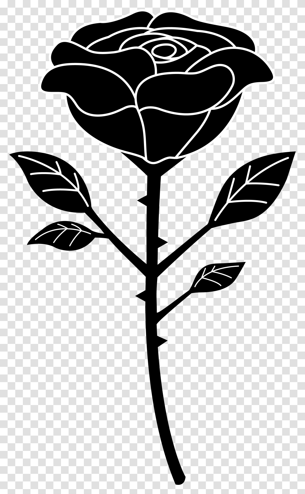 Cartoon Drawing Of Flower Black Rose Vector, Plant, Fern, Veins, Leaf Transparent Png