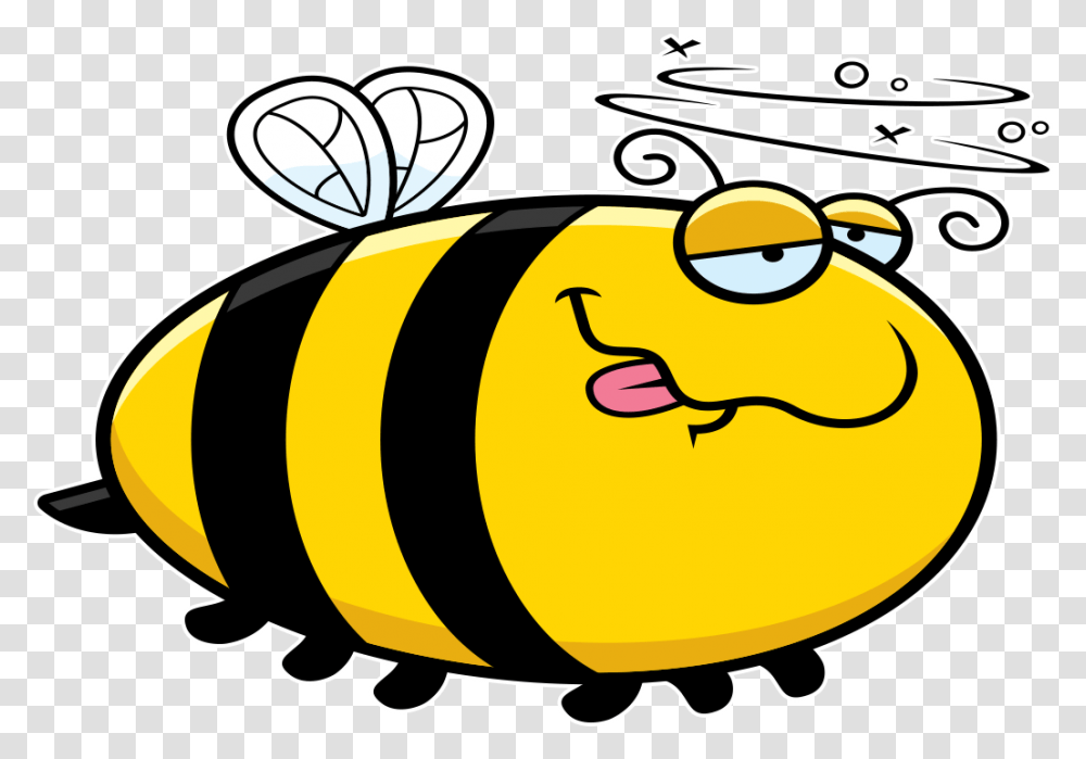 Cartoon Drunk Bee, Wasp, Insect, Invertebrate, Animal Transparent Png