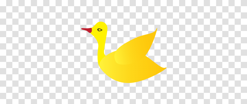 Cartoon Duck Images Vectors And Free Download, Banana, Fruit, Plant, Food Transparent Png