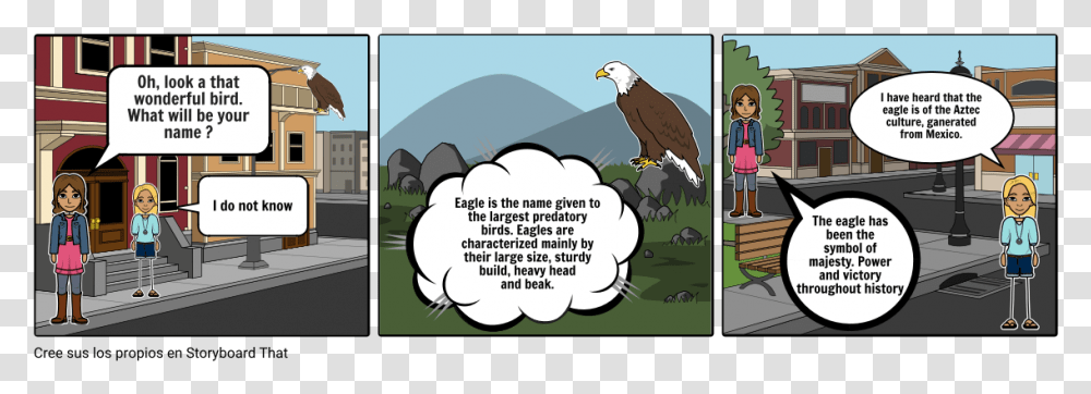 Cartoon, Eagle, Bird, Animal, Bald Eagle Transparent Png