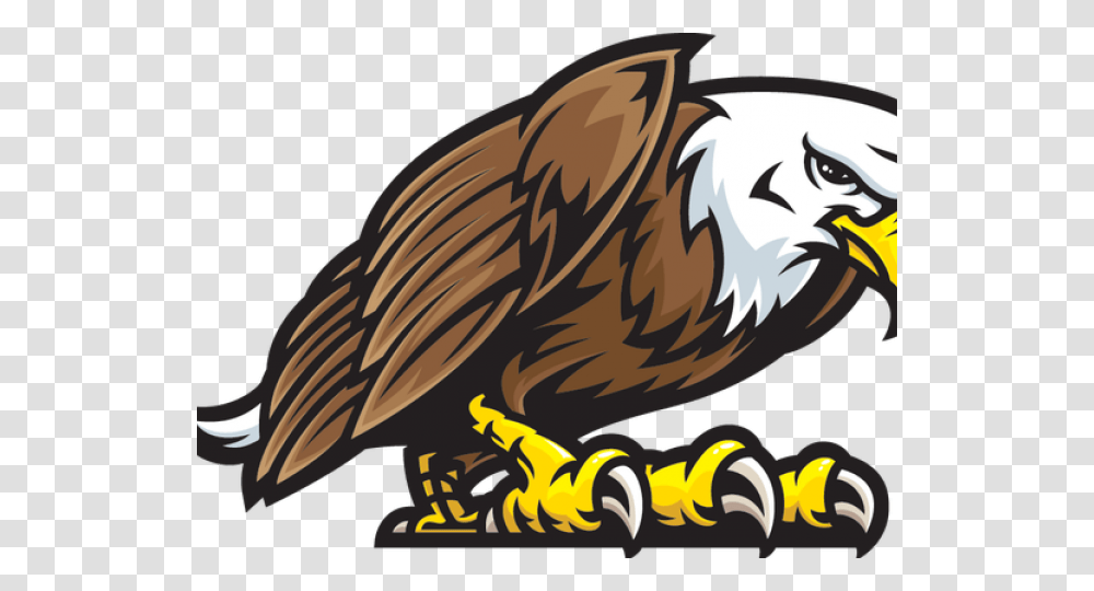 Cartoon Eagle Eagle Mascot, Bird, Animal, Hook, Bald Eagle Transparent Png