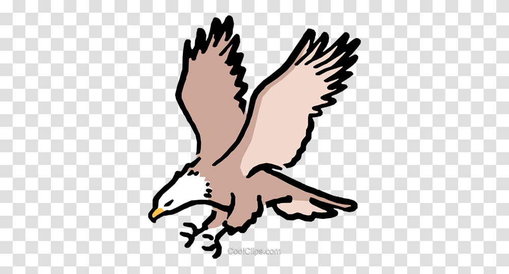 Cartoon Eagles Royalty Free Vector Clip Art Illustration, Bird, Animal, Bald Eagle, Flying Transparent Png