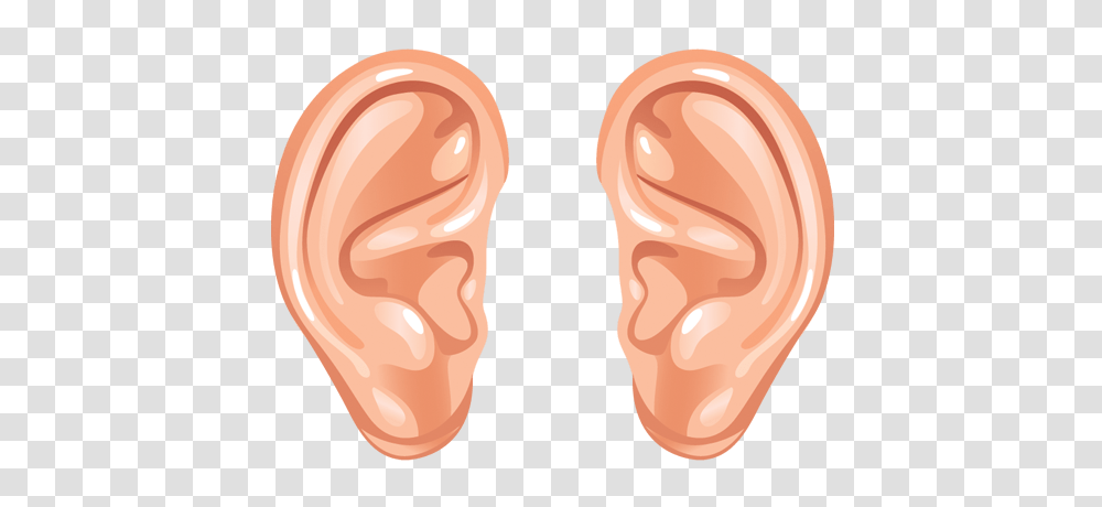 Cartoon Ears Transparent Png