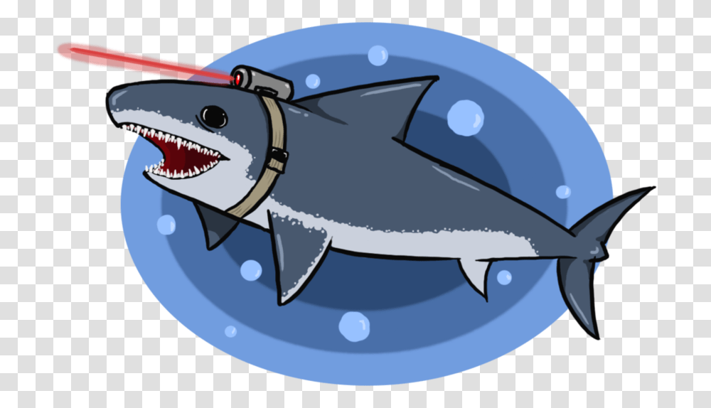 Cartoon, Fish, Animal, Shark, Sea Life Transparent Png