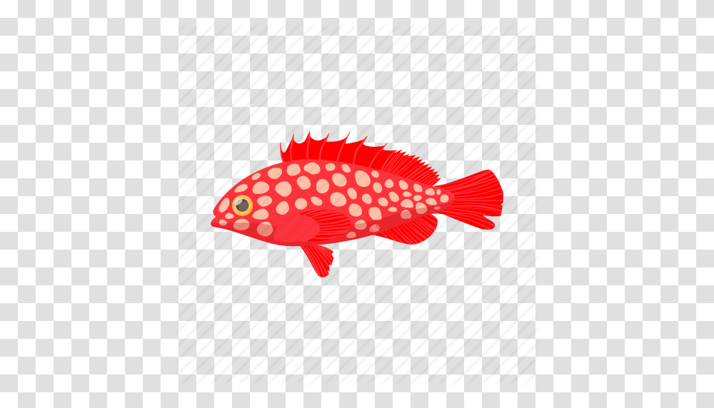 Cartoon Fish Fishing Hemichromis Sea Trout Water Icon, Animal, Coho, Goldfish Transparent Png