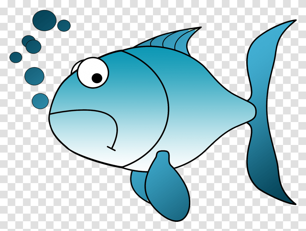 Cartoon Fish To Print, Animal, Sea Life, Mammal, Snout Transparent Png