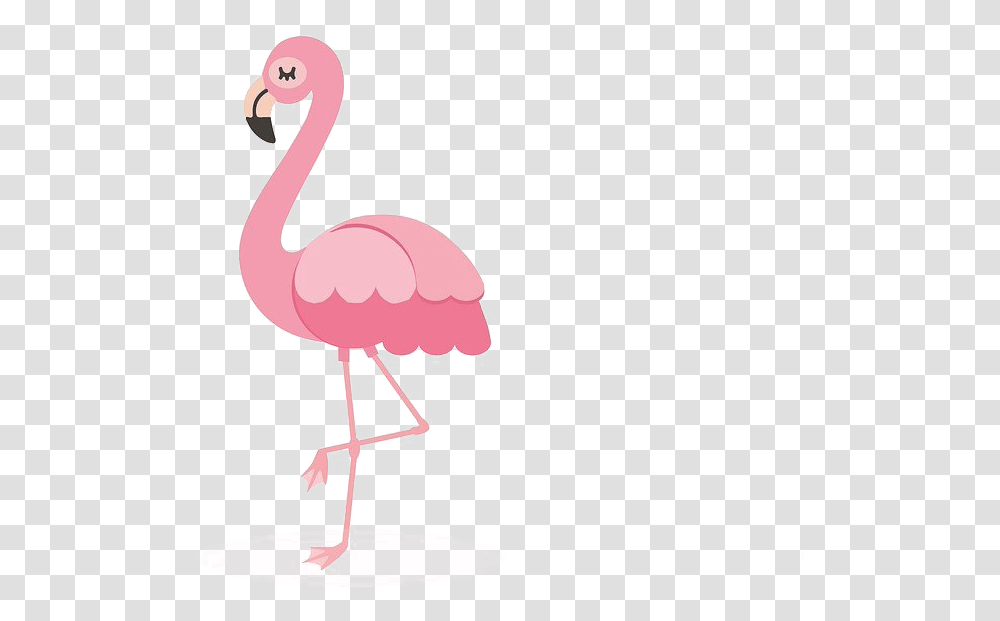 Cartoon Flamingo, Bird, Animal, Beak Transparent Png