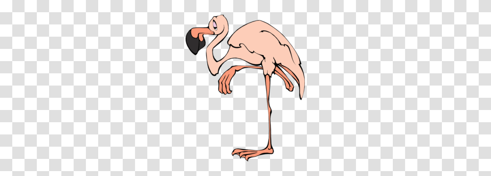 Cartoon Flamingo Clip Art For Web, Animal, Sea Life, Bird, Food Transparent Png