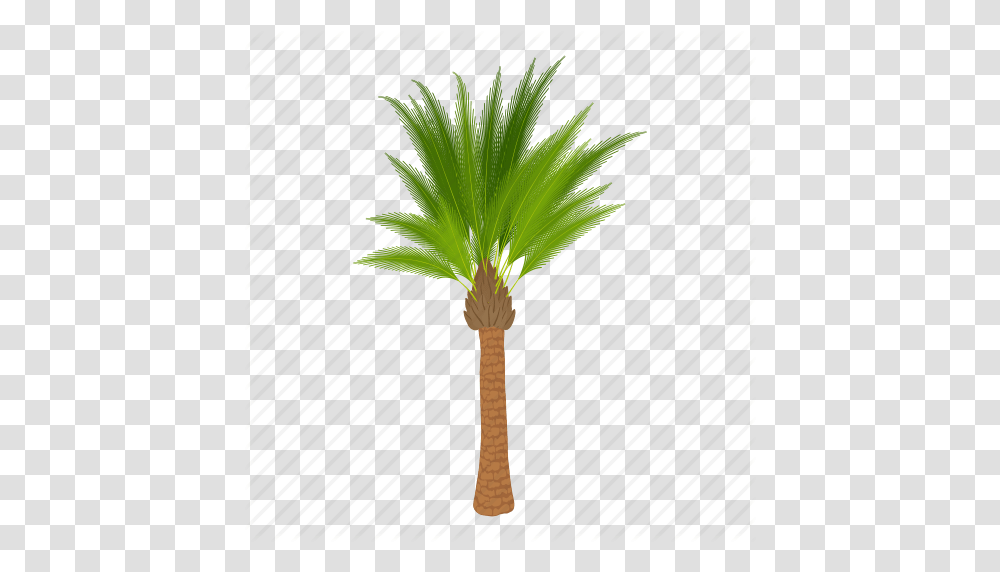 Cartoon Floral Green Oil Palm Tree Palmtree Tree Icon, Plant, Arecaceae Transparent Png