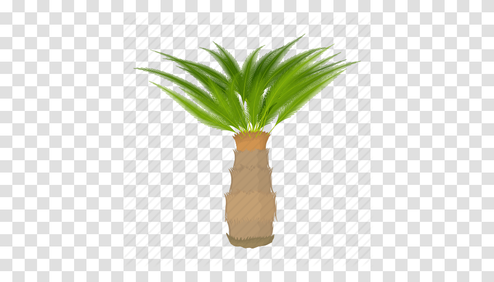 Cartoon Floral Green Oil Palm Tree Palmtree Tree Icon, Plant, Arecaceae, Vegetation, Vegetable Transparent Png