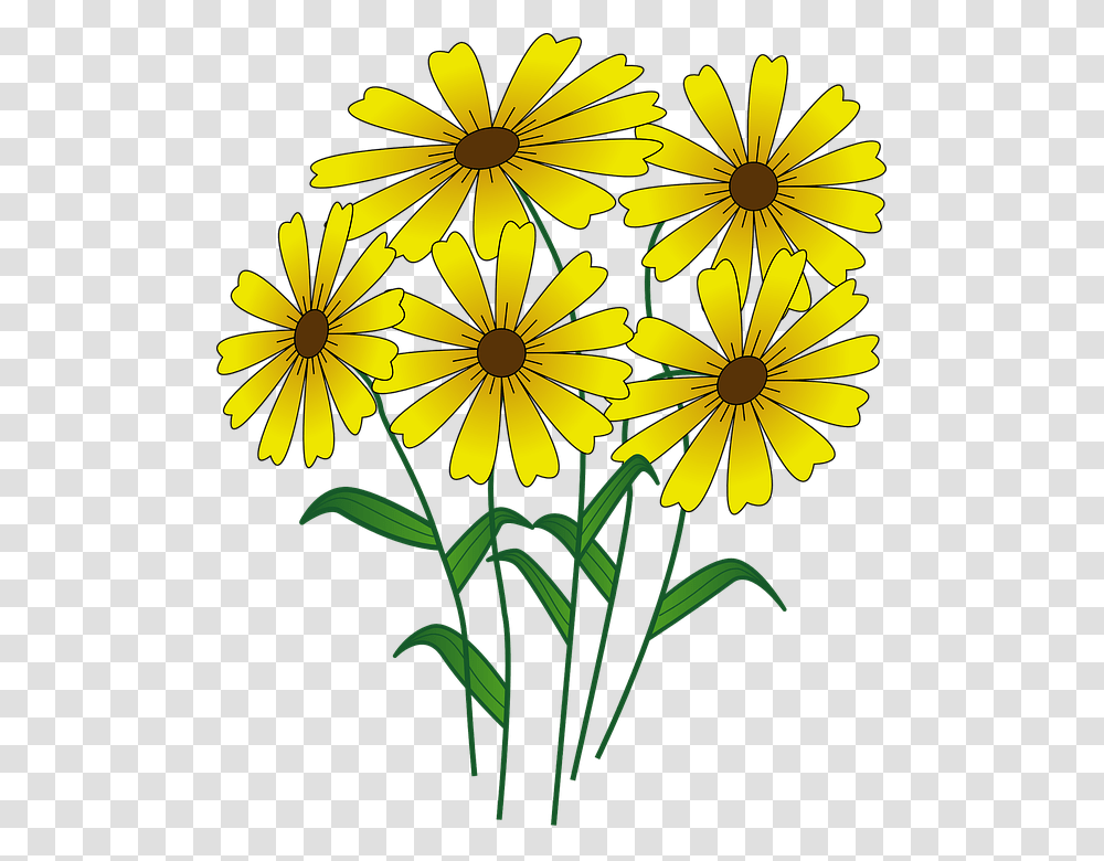 Cartoon Flower Flowers Cartoon, Plant, Blossom, Daisy, Daisies Transparent Png