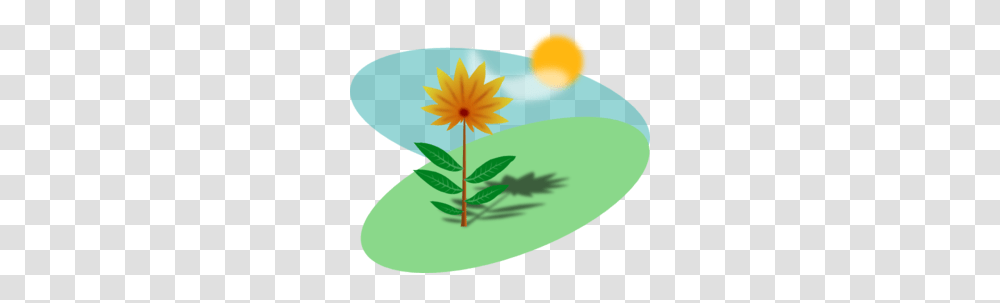 Cartoon Flower In The Sun Clip Art, Plant, Blossom, Leaf, Anther Transparent Png