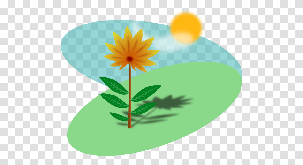 Cartoon Flower In The Sun Clip Arts For Web, Plant, Anther, Blossom, Daisy Transparent Png
