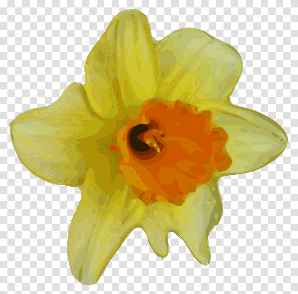 Cartoon Flower Svg Clip Arts Download Download Clip Art Spring Flowers Clip Art, Plant, Blossom, Daffodil, Pollen Transparent Png