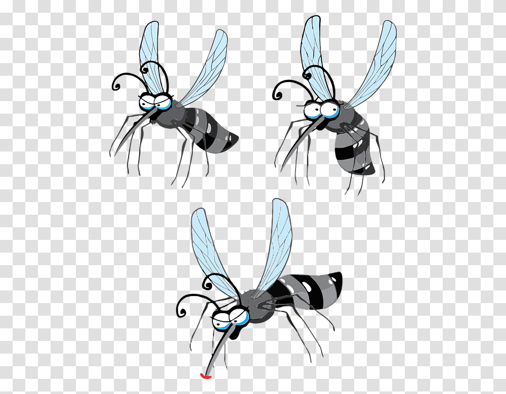 Cartoon Fly Pictures 27 Flying Mosquito, Wasp, Bee, Insect, Invertebrate Transparent Png
