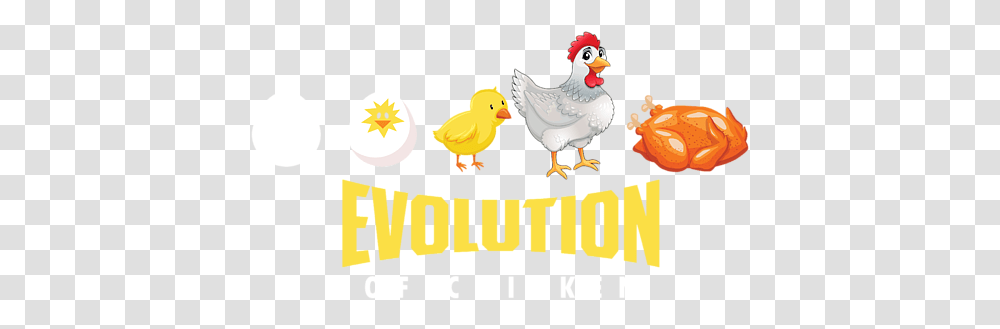 Cartoon, Fowl, Bird, Animal, Poultry Transparent Png