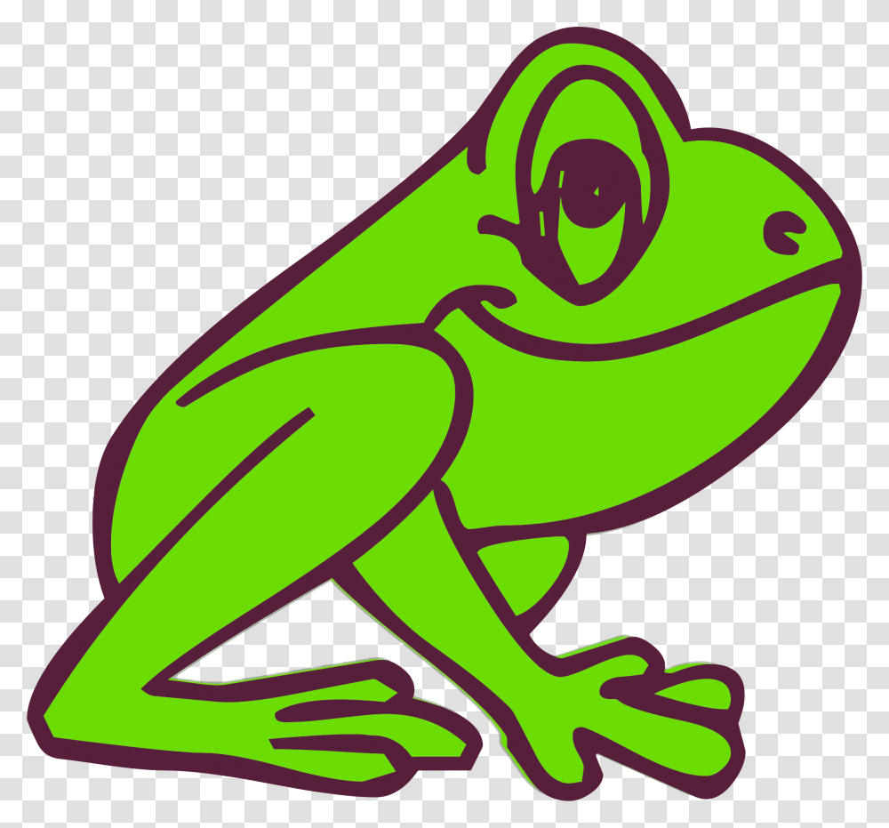 Cartoon Frog, Amphibian, Wildlife, Animal, Tree Frog Transparent Png