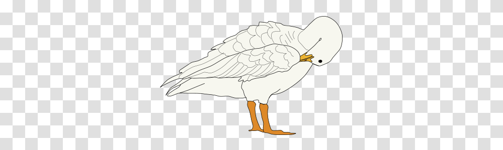 Cartoon, Goose, Bird, Animal, Pelican Transparent Png