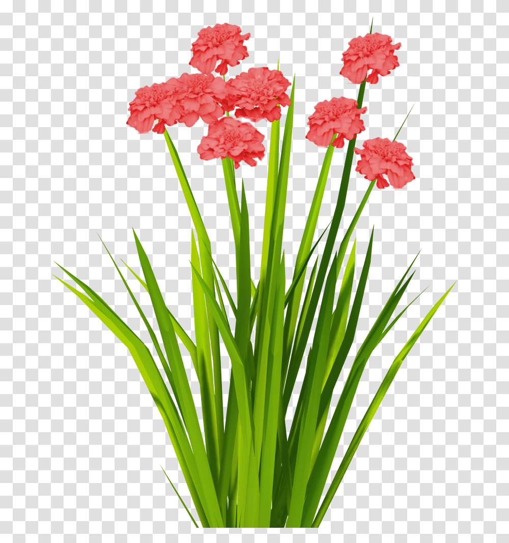 Cartoon Grass And Flowers Flower Grass Texture, Plant, Carnation, Blossom Transparent Png