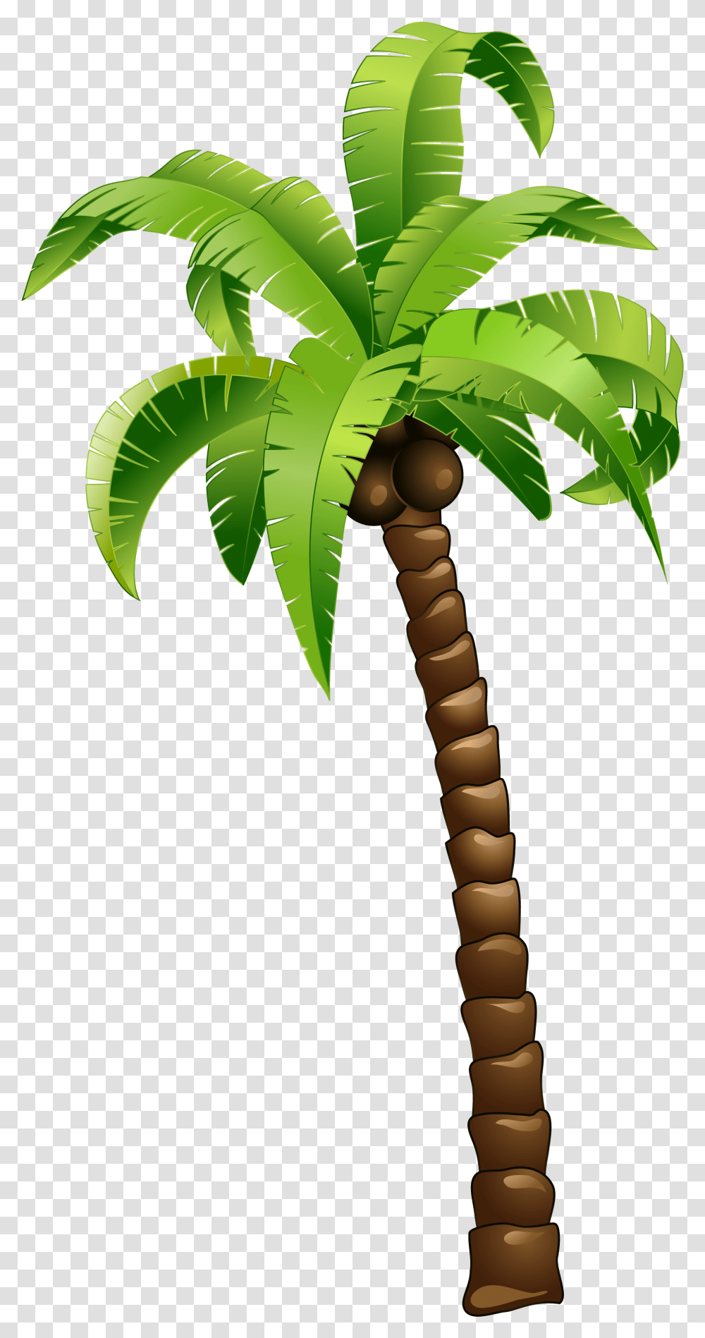 Cartoon Green Coconut Tree Cartoon Palm Tree Coconut Tree Cartoon, Leaf, Plant, Symbol Transparent Png