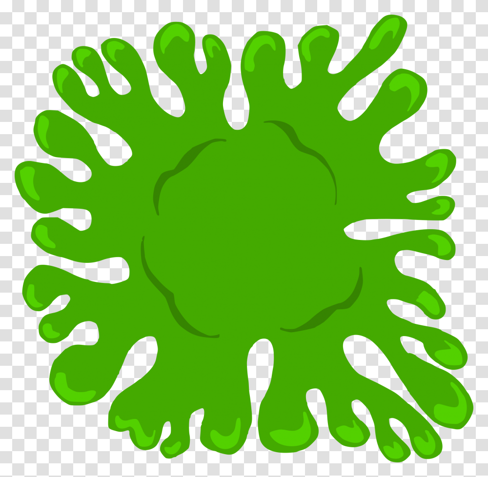 Cartoon Green Slime Blots Vector 1 Circle, Plant, Vegetable, Food, Painting Transparent Png