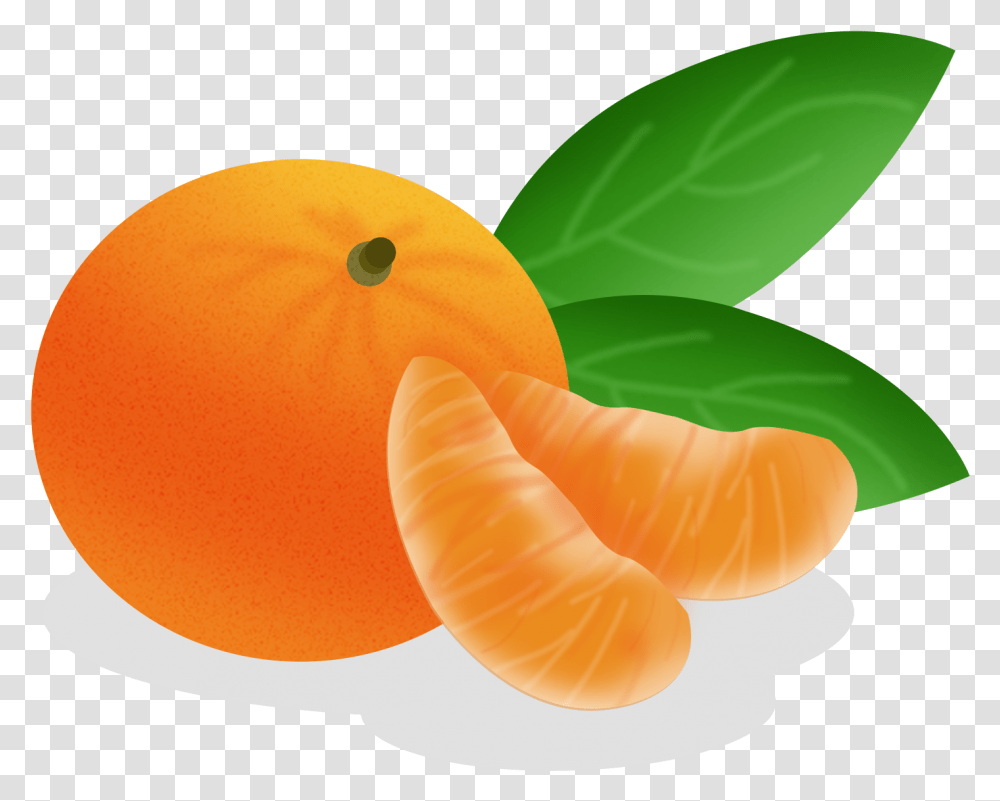 Cartoon Hand Drawn Fruit Food And Psd Tangerine Cartoon, Plant, Citrus Fruit, Produce, Orange Transparent Png