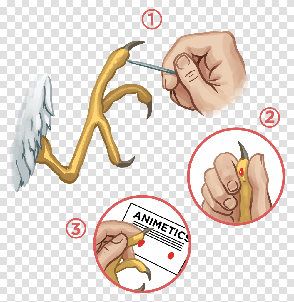 Cartoon, Hand, Slingshot, Wax Seal, Magician Transparent Png