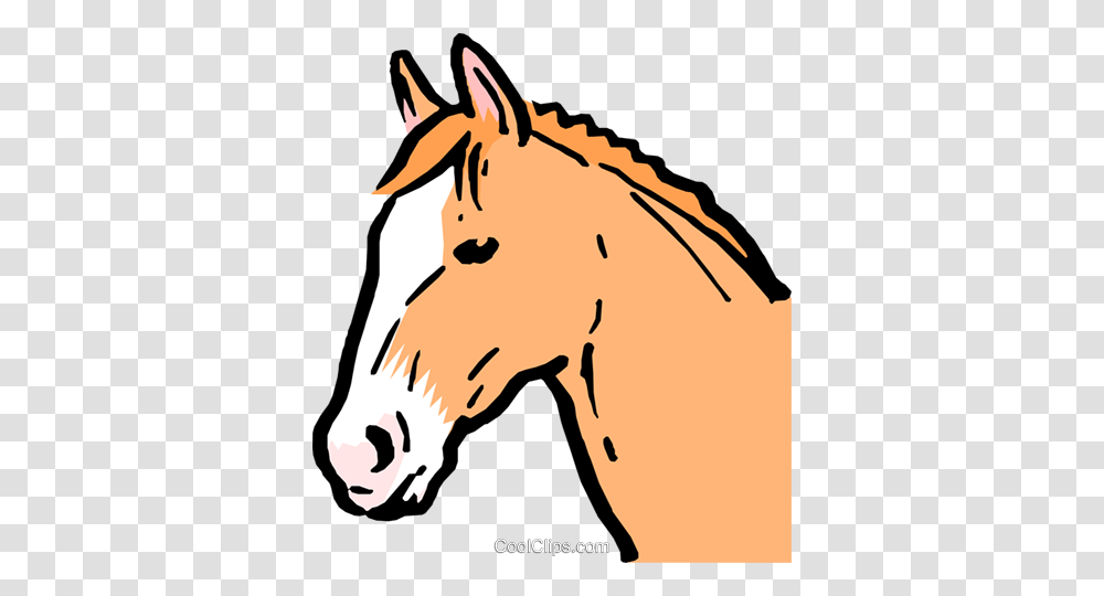 Cartoon Horse Royalty Free Vector Clip Art Illustration, Mammal, Animal, Wildlife, Colt Horse Transparent Png