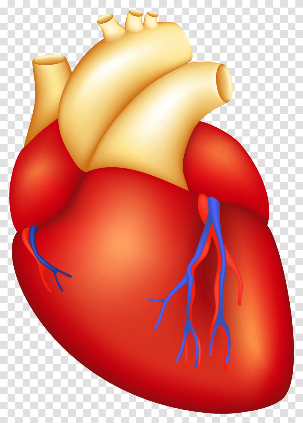 Cartoon Human Heart Heart Body Parts Clipart, Plant, Food, Balloon, Produce Transparent Png