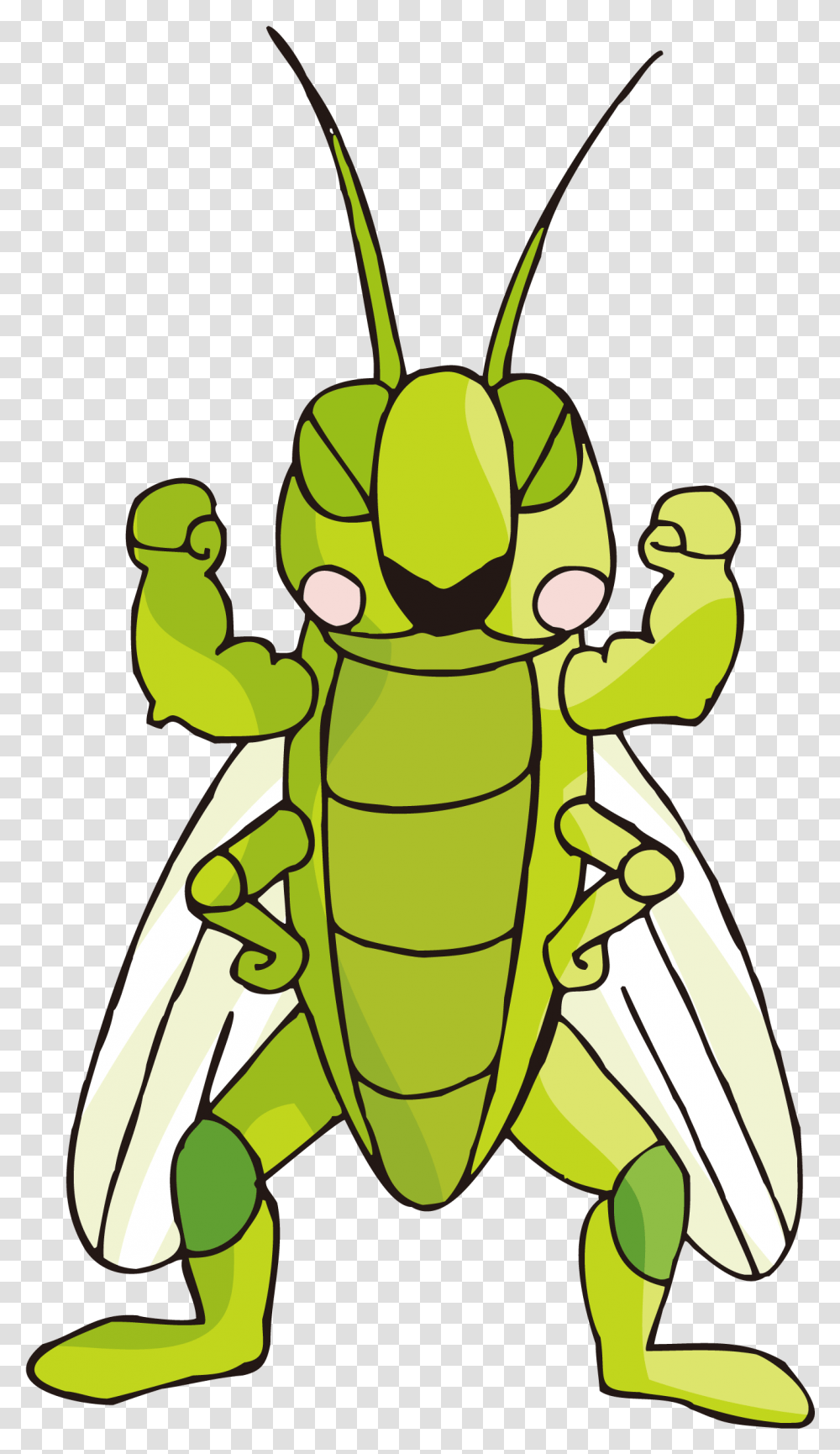 Cartoon Images Gallery For Insect Cartoon Cricket, Animal, Lizard, Reptile, Invertebrate Transparent Png