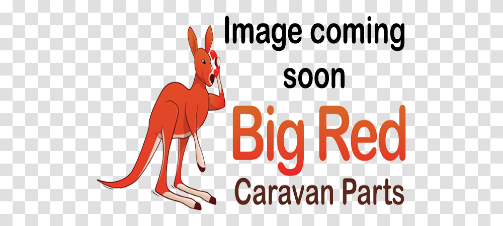 Cartoon, Kangaroo, Mammal, Animal, Wallaby Transparent Png