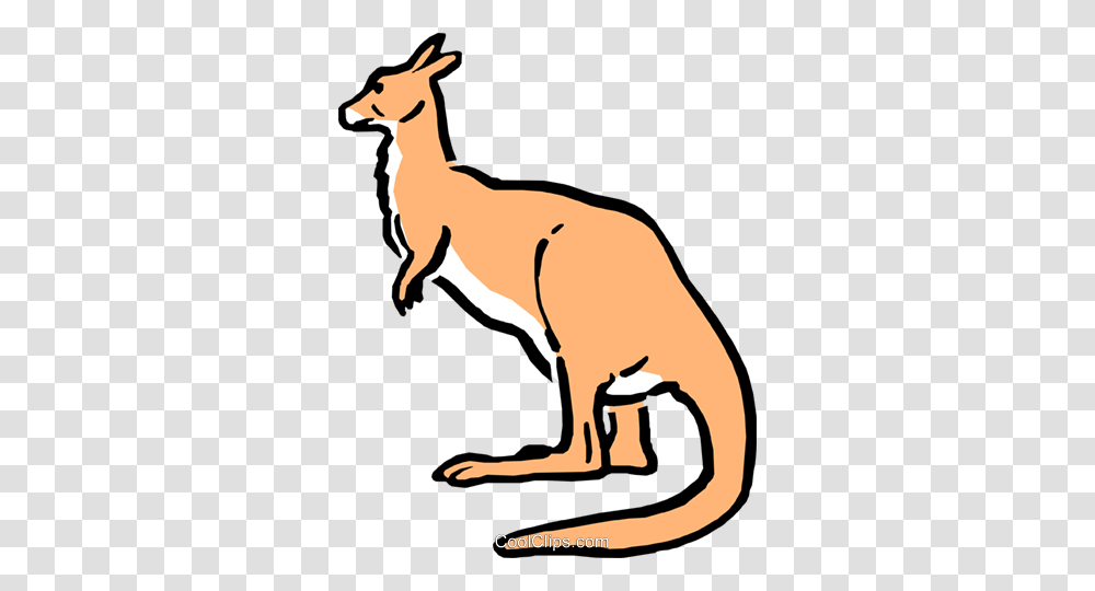 Cartoon Kangaroo Royalty Free Vector Clip Art Illustration, Animal, Mammal, Wallaby, Wildlife Transparent Png