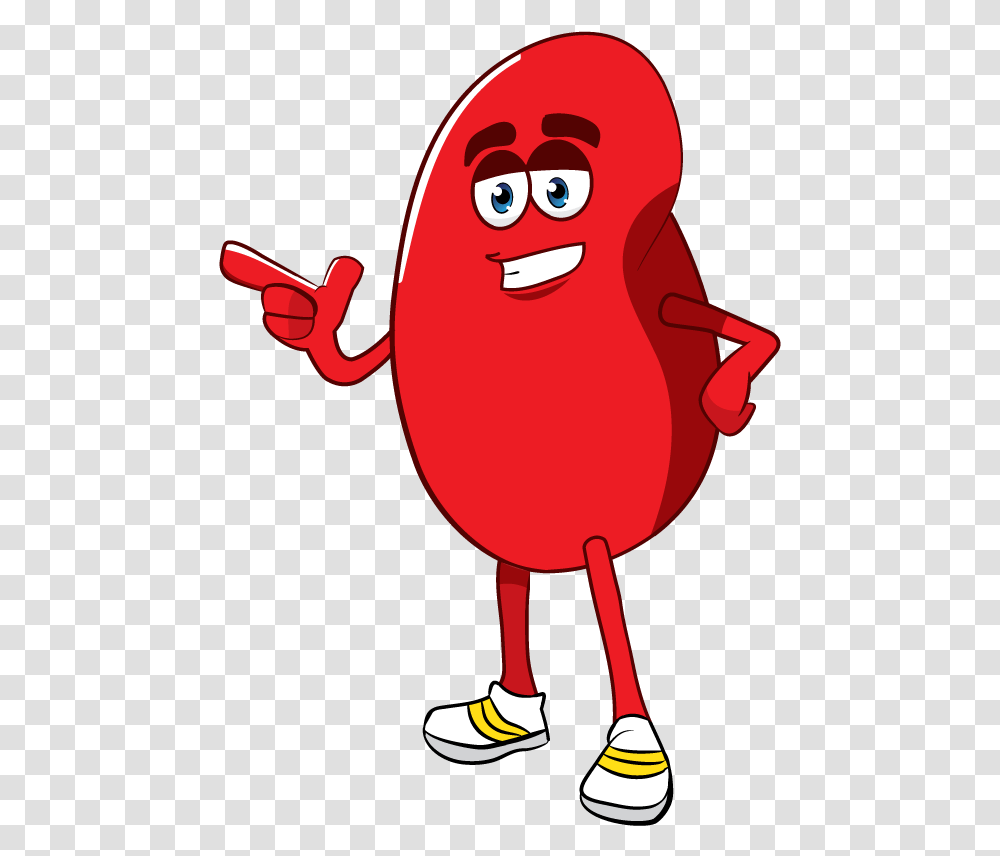 Cartoon Kidney Clipart Cartoon Red Blood Cells Animation, Plant, Food, Pac Man, Fruit Transparent Png