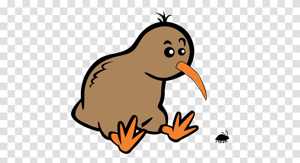 Cartoon Kiwi Bird Birdpng Simple Cartoon Kiwi Bird, Animal Transparent Png