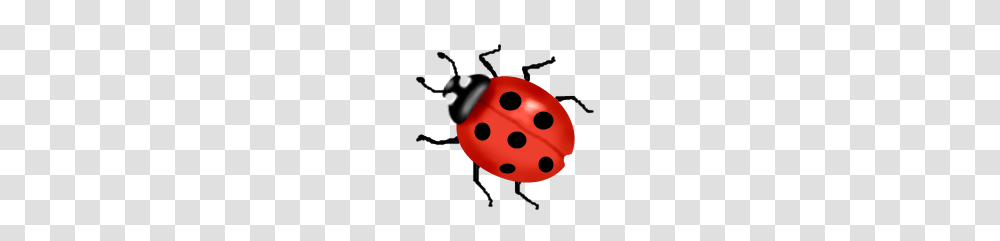 Cartoon Ladybug, Dice, Game, Insect, Invertebrate Transparent Png
