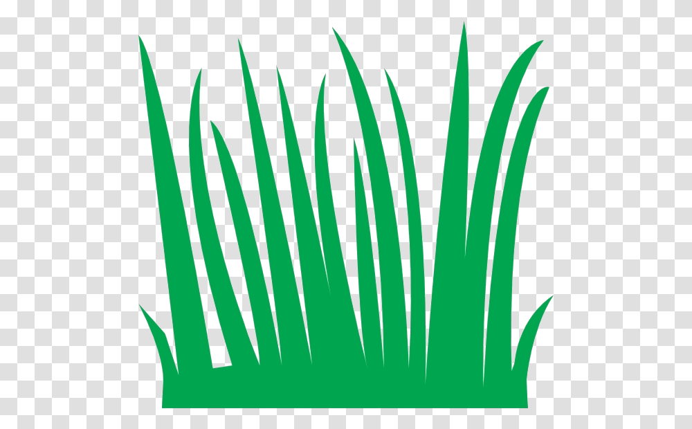 Cartoon Long Grass, Plant, Tree, Vegetation, Flower Transparent Png