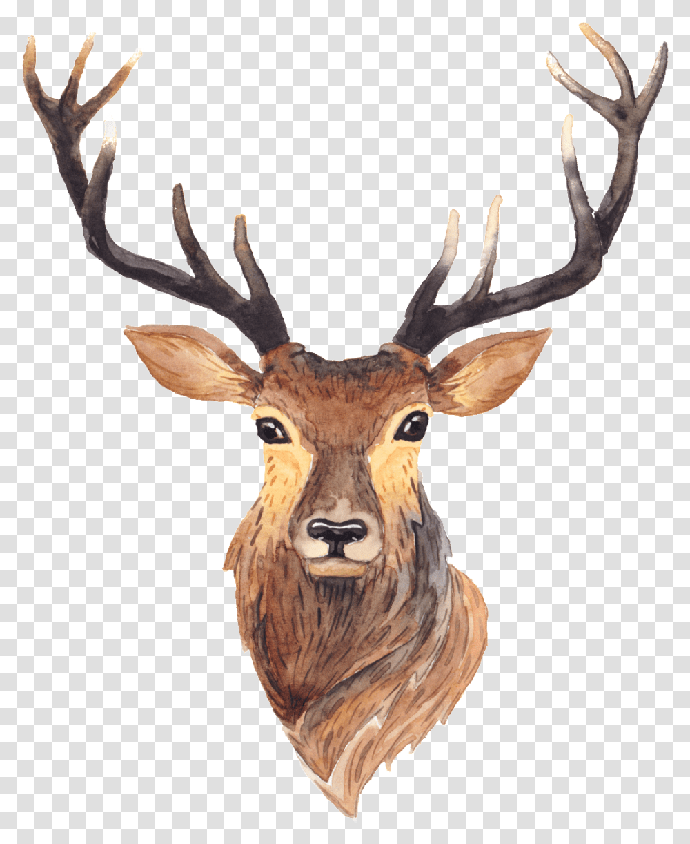 Cartoon Long Horned Deer Free Buckle Deer Illustration, Antelope, Wildlife, Mammal, Animal Transparent Png