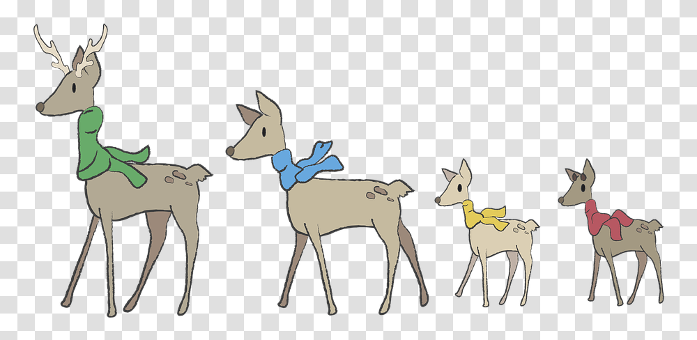 Cartoon, Mammal, Animal, Deer, Wildlife Transparent Png