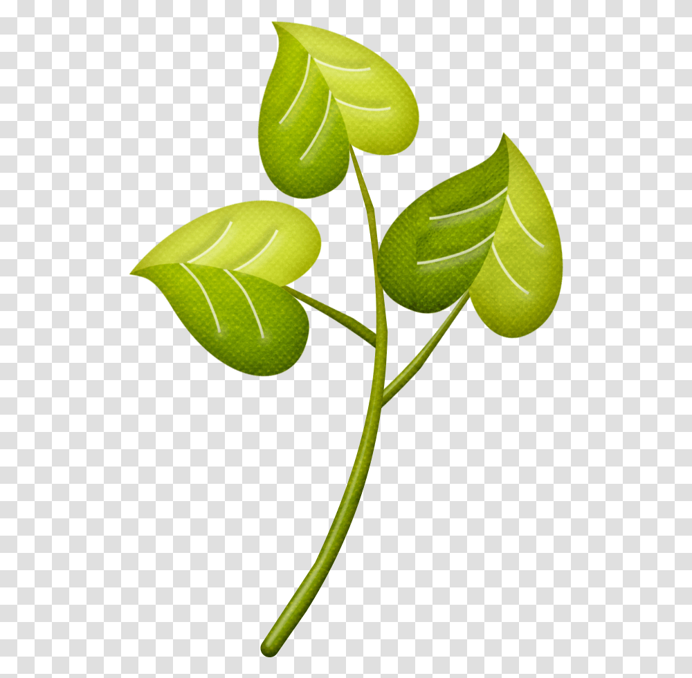 Cartoon Miscellaneous Clip Art, Leaf, Plant, Tree, Annonaceae Transparent Png