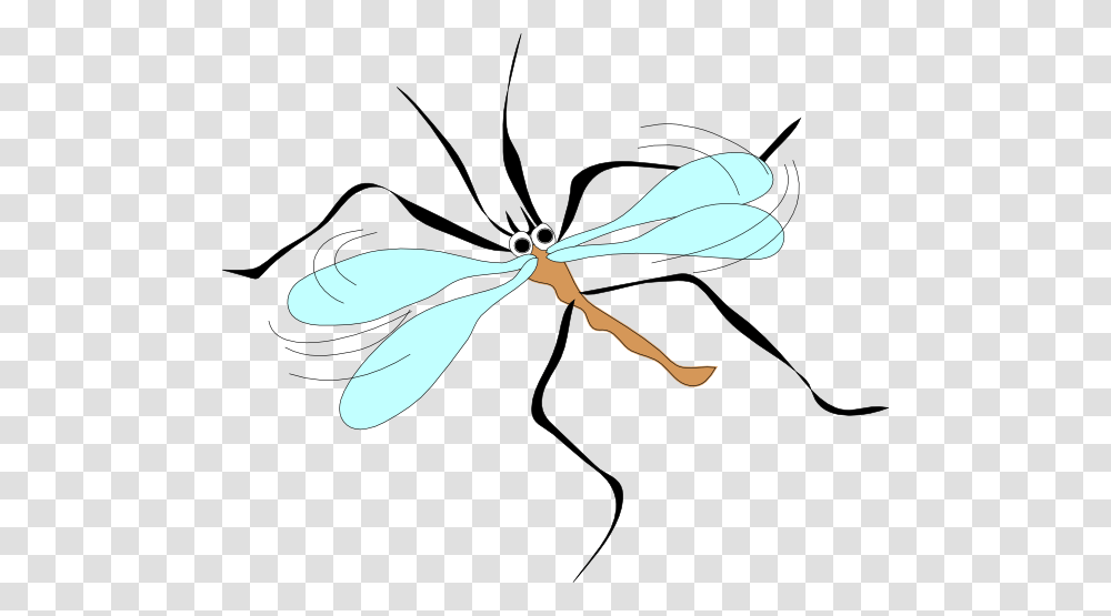 Cartoon Mosquito Clip Art For Web, Dragonfly, Insect, Invertebrate, Animal Transparent Png