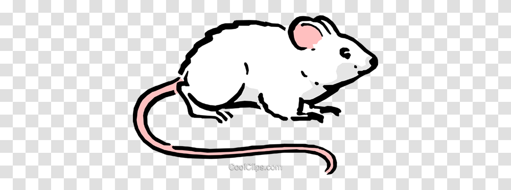 Cartoon Mouse Royalty Free Vector Clip Art Illustration, Mammal, Animal, Rodent, Pig Transparent Png