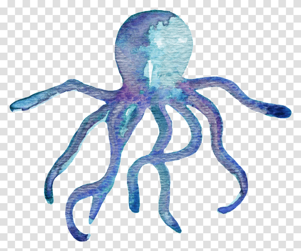 Cartoon Octopus Octopus Water Color, Sea Life, Animal, Invertebrate, Antelope Transparent Png