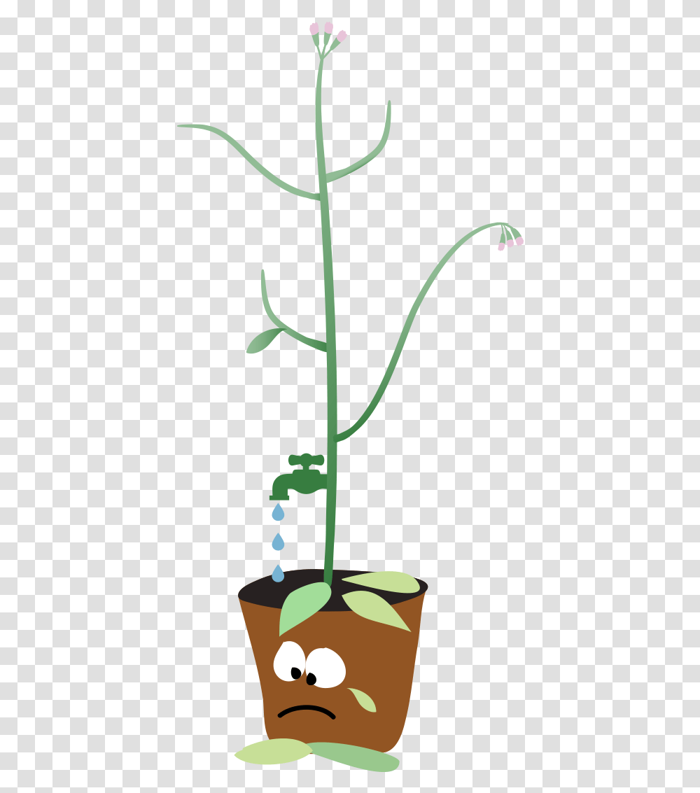 Cartoon Of A Leaking Plant Sad Plant Cartoon, Flower, Blossom, Amaryllidaceae, Green Transparent Png